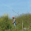 2 Clearing the Field (9)